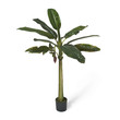 Palme