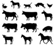 Vektor: tiere bauernhof tiere bauernhof