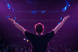 Dj at the stage