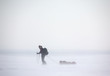 Arctic Expedition