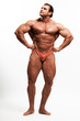 Bodybuilder-13