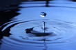Water drop falling into water Water drop falling into water