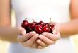 Hands holding cherries Hands holding cherries