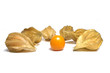Physalis Physalis