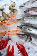 seafood in market over ice seafood in market over ice