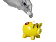 Piggy Bank Piggy Bank