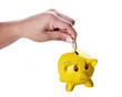 Piggy Bank Piggy Bank