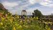 Delphi
