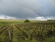 Arc en ciel sur les vignobles Arc en ciel sur les vignobles