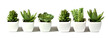 green plants collection