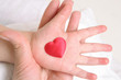 heart in baby`s hand