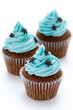 Chocolate cupcakes