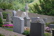 Friedhof Friedhof