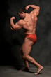 Bodybuilder-16