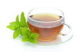 Photo en ligne au meilleur prix Tee Pfefferminze - tea Peppermint 03