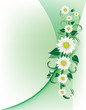 Floral Background Floral Background