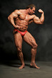 Bodybuilder-17