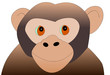 Curious Monkey