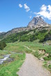 Chemin sous l'Ossau