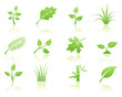 Vector illustration of green ecology nature floral icon set