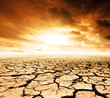 Future Landscape