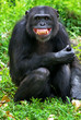 smile