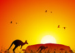 Australian landscape