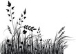 Grass vector silhouette