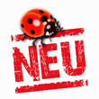 Neu mit Käfer