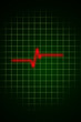 Puls