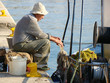 Foto: Fischer bei der Arbeit Fischer bei der Arbeit