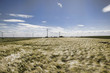 wind mills with gold grain field wind mills with gold grain field