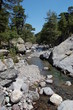 Flussbett Flussbett