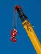 Crane hook
