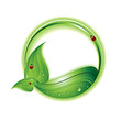 Eco Concept