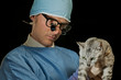 Veterinarian examines cat Veterinarian examines cat