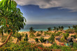 Strand HDR
