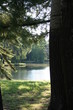 lago