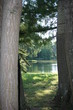 lago