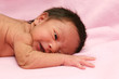 Multiracial Newborn
