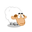 Alarmed sheep
