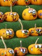 Pumpkins