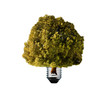 Green tree in a light bulb Green tree in a light bulb