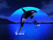 Orca