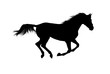 Photo en ligne au meilleur prix silhouette of galloping stallion