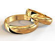 Illustration: Wedding rings Wedding rings