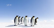 Penguins