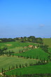 Zypressen,Kurve,Hügellandschaft,Toskana,Val d Orcia,La Foce