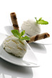 Vanilla Ice cream Vanilla Ice cream