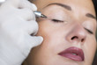 Permanent make-up (tattoo)